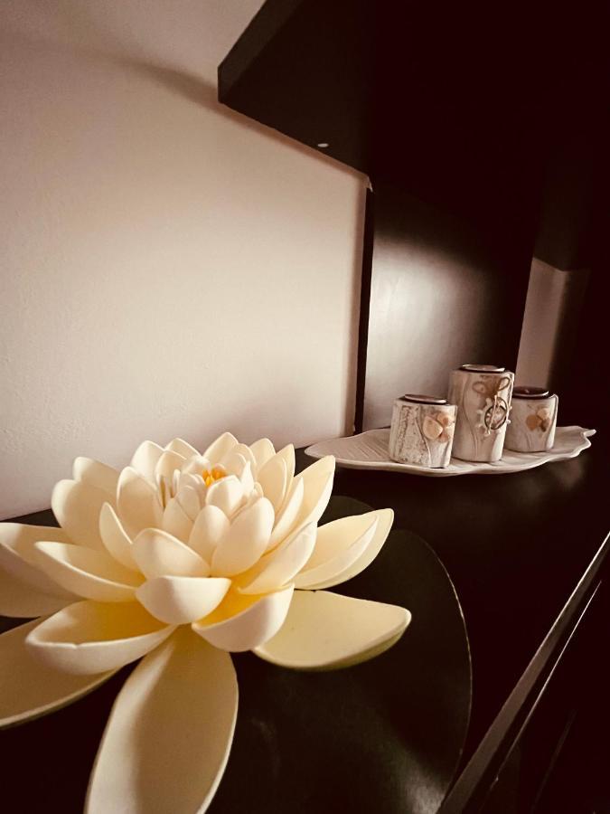 Alice Apartment อาราด ภายนอก รูปภาพ
